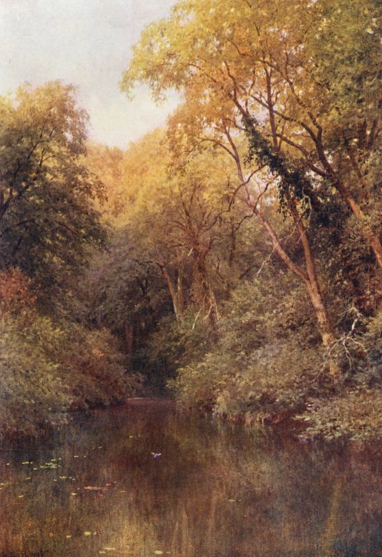 The Silent Pool, Albury (színes litográfia) alkotó: Harold Sutton Palmer