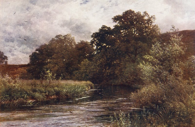 A Wey a Hankley Commonnál, Tilford közelében (színes litográfia) alkotó: Harold Sutton Palmer