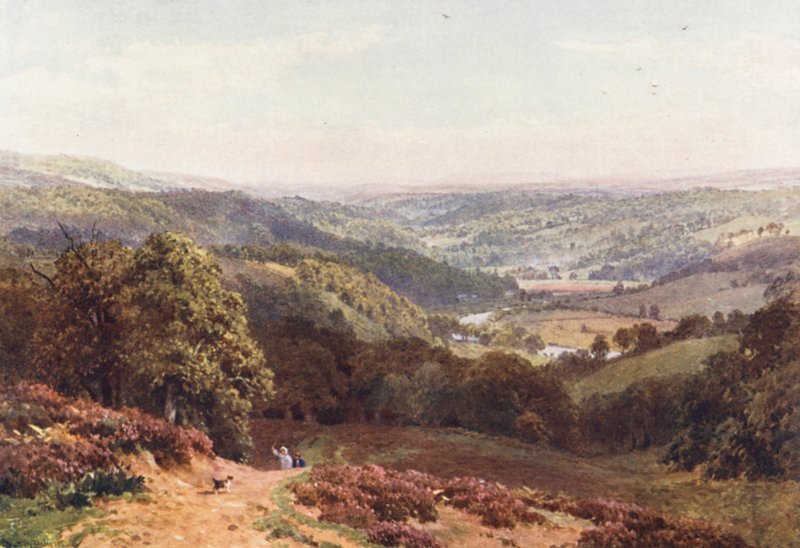 Vale of Albury, a St Martha