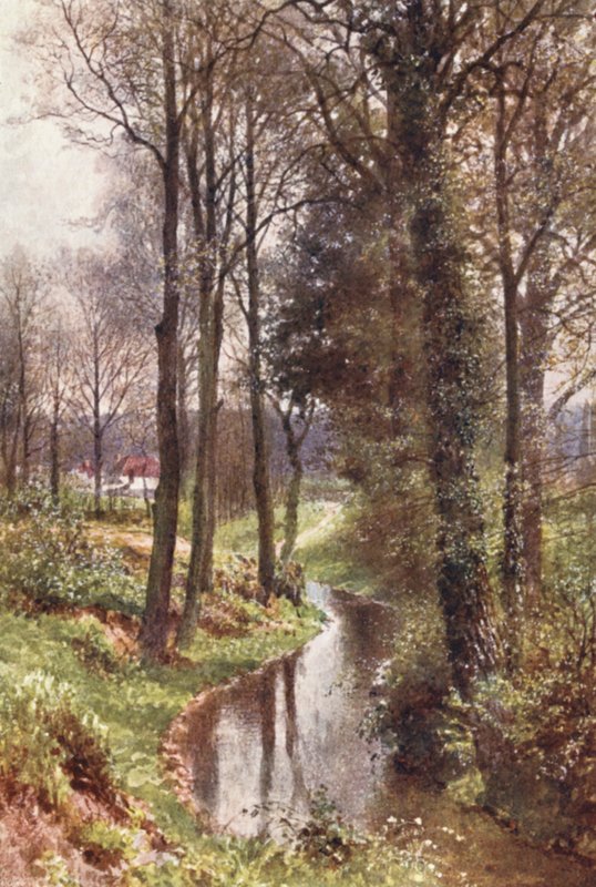 Water Lane, East Horsley közelében (színes litográfia) alkotó: Harold Sutton Palmer