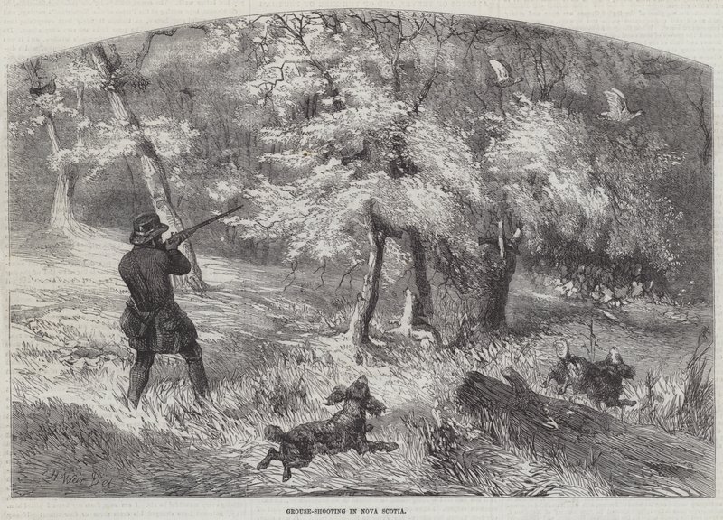 Mormota-lövészet Új-Skóciában alkotó: Harrison William Weir