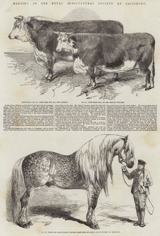 A Királyi Mezőgazdasági Társaság ülése Salisburyben alkotó: Harrison William Weir