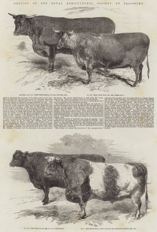 A Salisbury-i Királyi Mezőgazdasági Társaság ülése alkotó: Harrison William Weir