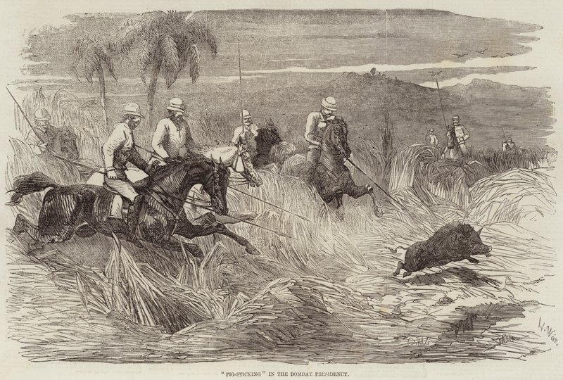 Disznótorlás a bombayi elnökségben alkotó: Harrison William Weir