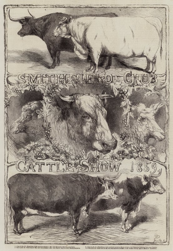 Smithfield Klub szarvasmarha-kiállítása, 1859 alkotó: Harrison William Weir