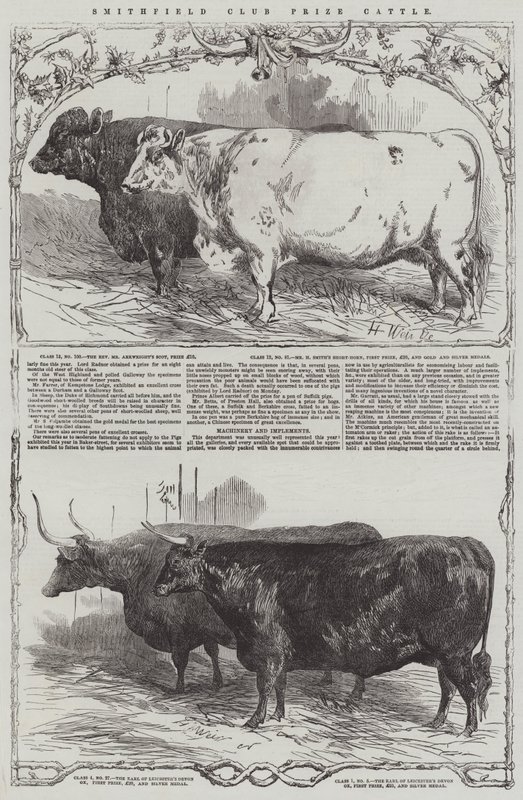 Smithfield Club-díjas szarvasmarha alkotó: Harrison William Weir