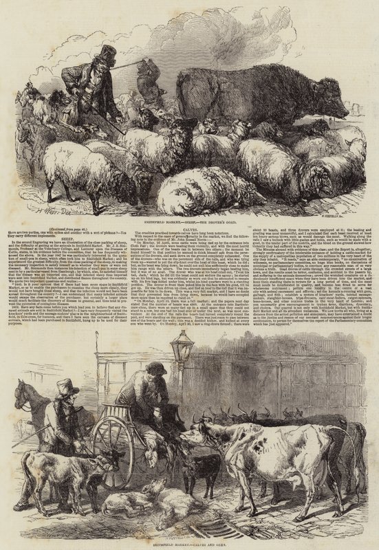 Smithfield piac alkotó: Harrison William Weir
