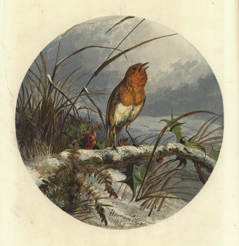 A karácsonyi énekes alkotó: Harrison William Weir