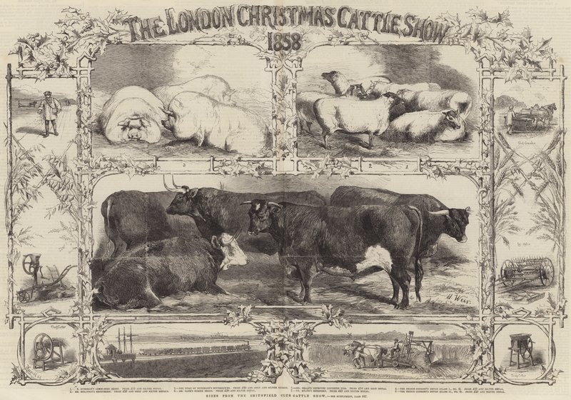 Az 1858-as londoni karácsonyi marhabemutató alkotó: Harrison William Weir