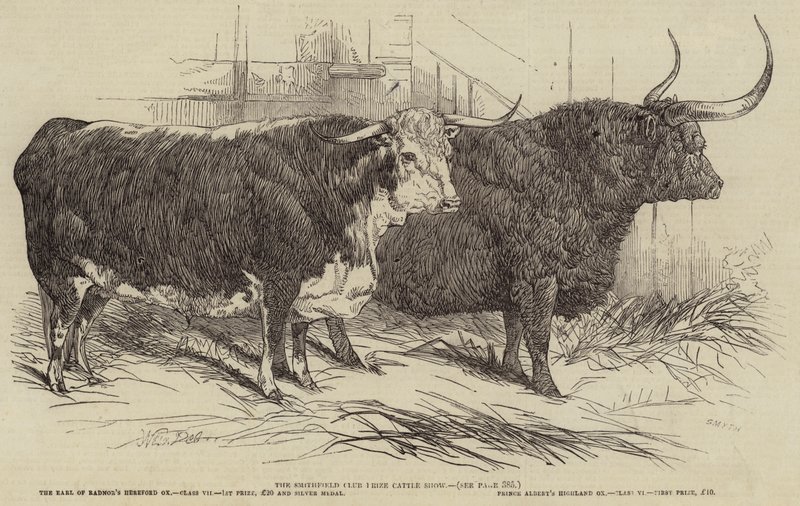 A Smithfield Club-díjas szarvasmarha kiállítás alkotó: Harrison William Weir