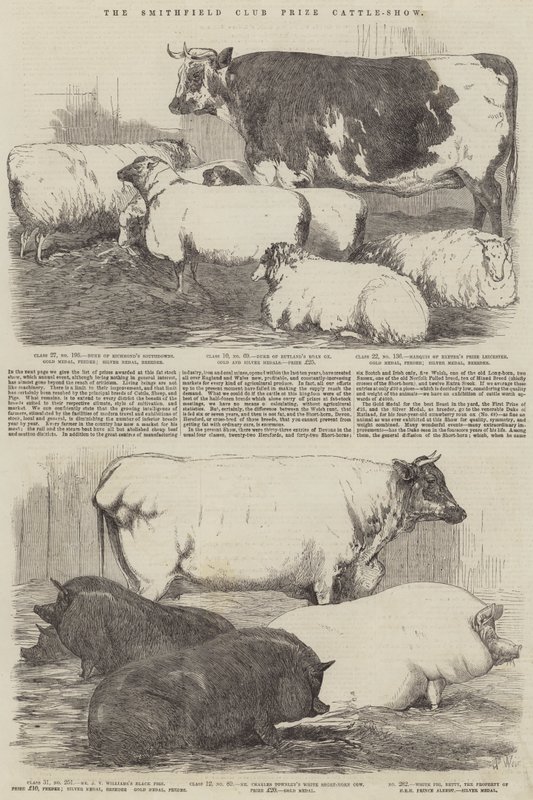 A Smithfield Club-díjas szarvasmarha-kiállítás alkotó: Harrison William Weir