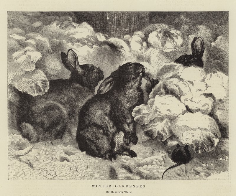 Téli kertészek alkotó: Harrison William Weir