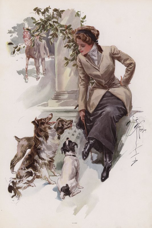 Fiatal nő a lovaglás szokásában, kutyáival ülve (színes litho) alkotó: Harrison Fisher