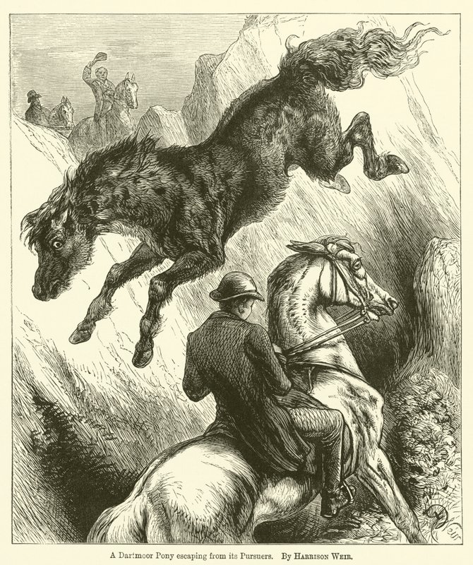 Egy Dartmoor Pony megszökik üldözői elől alkotó: Harrison William Weir