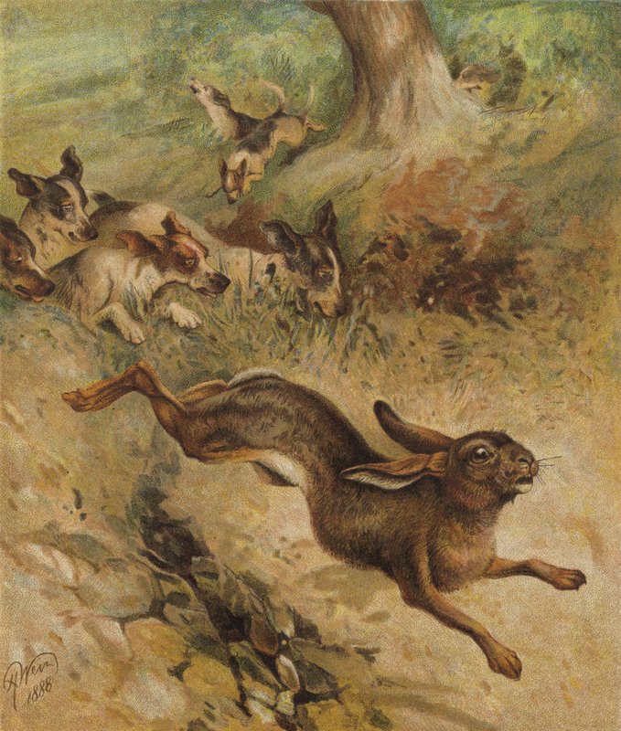 Futás az életért (chromolitho) alkotó: Harrison William Weir