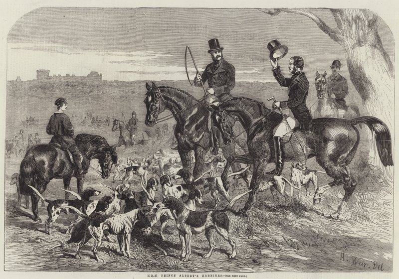 HRH Albert herceg Harriers alkotó: Harrison William Weir