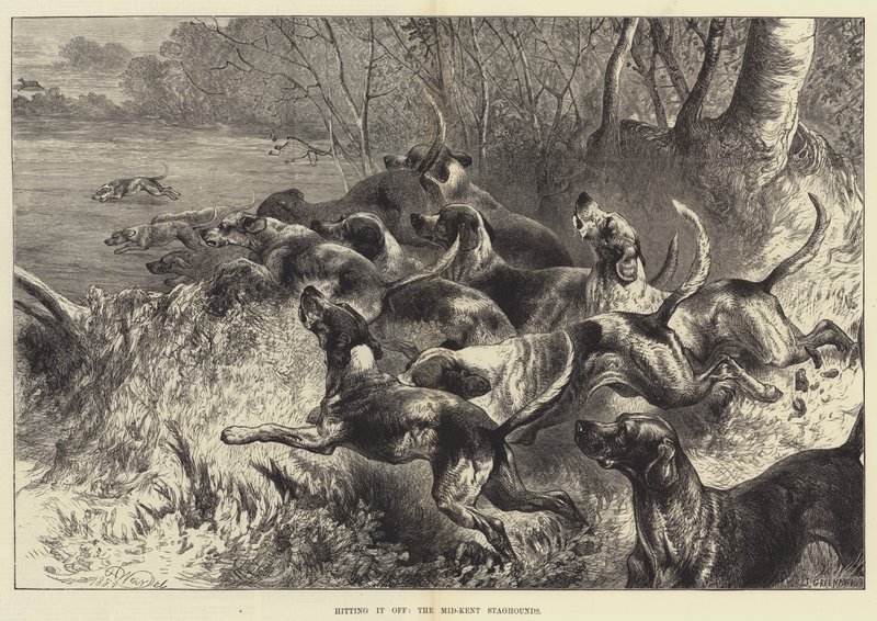 A Mid-Kent Staghounds, a Mid-Kent Staghounds alkotó: Harrison William Weir