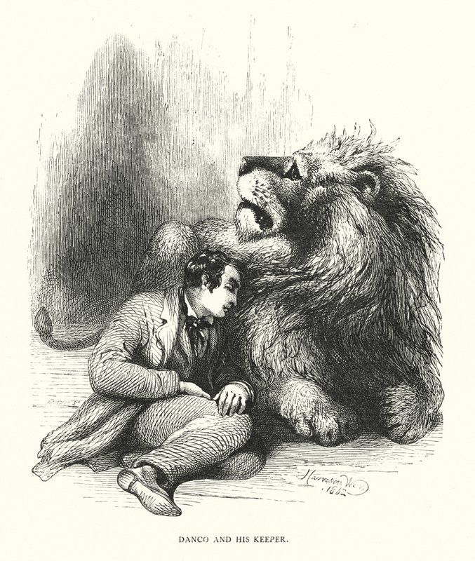 Oroszlán és őrzője (metszet) alkotó: Harrison William Weir