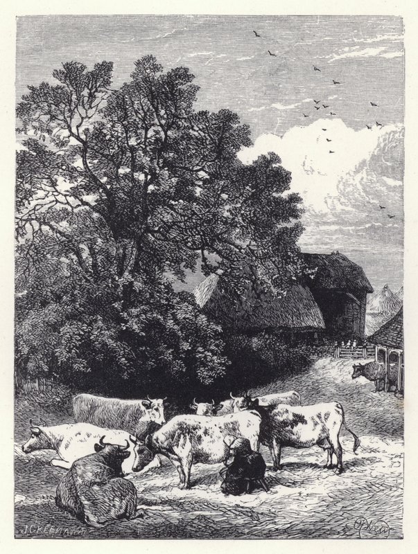 Tehenek fejése (metszet) alkotó: Harrison William Weir