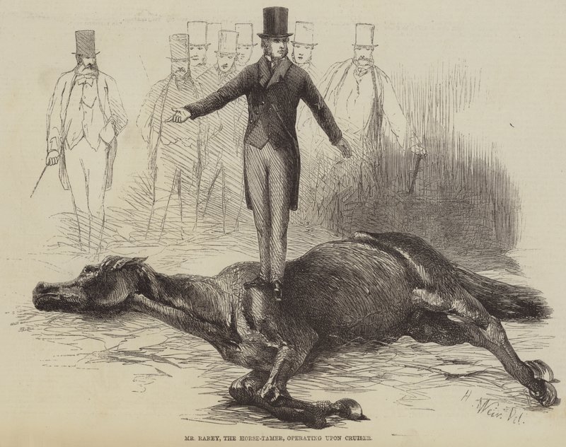 Mr Rarey, a Lószelídítő, aki a Cruiseren dolgozik alkotó: Harrison William Weir