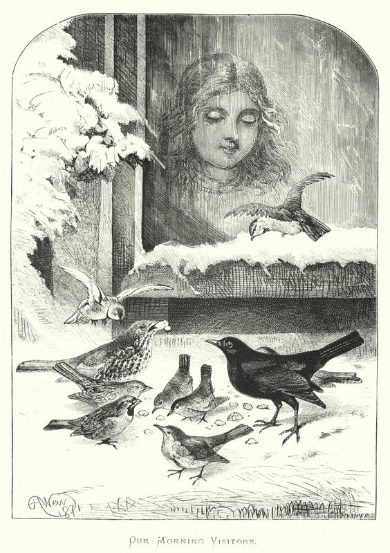 Reggeli látogatóink alkotó: Harrison William Weir