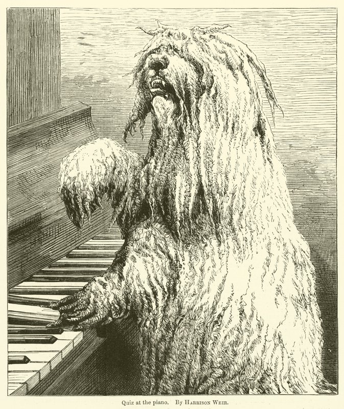Kvíz a zongoránál alkotó: Harrison William Weir