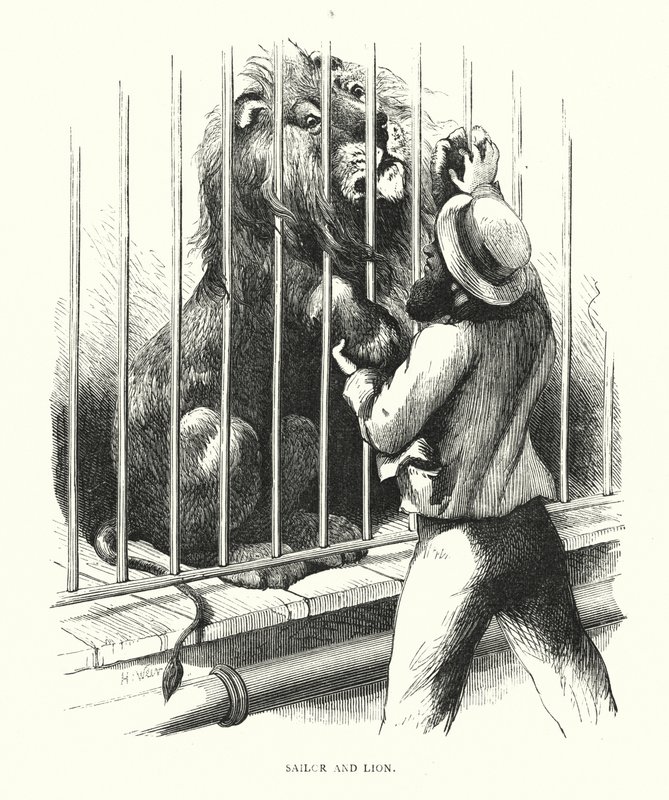 Tengerész és oroszlán (metszet) alkotó: Harrison William Weir