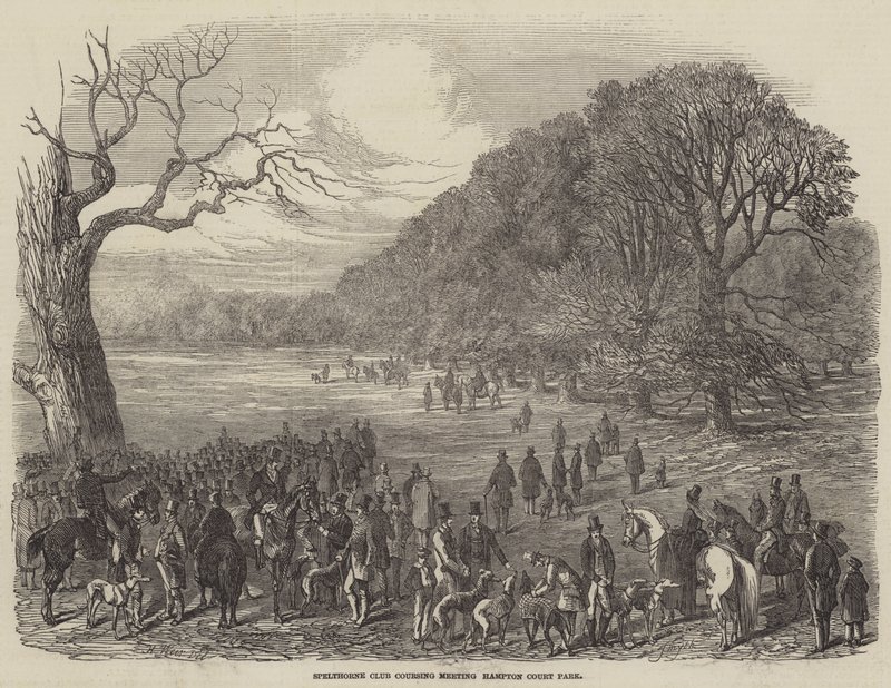 Spelthorne Club Coursing Találkozó, Hampton Court Park alkotó: Harrison William Weir