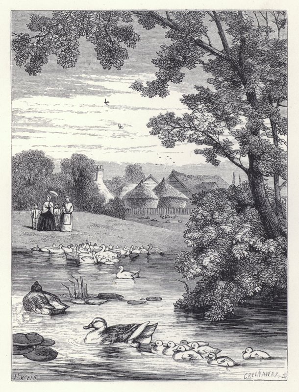 A kacsató (metszet) alkotó: Harrison William Weir