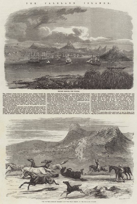A Falkland-szigetek alkotó: Harrison William Weir