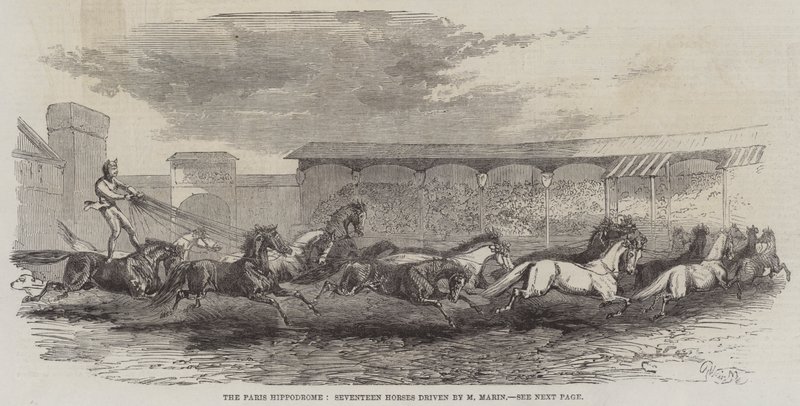 A Párizsi Hippodrom, Tizenhét ló, amelyet M Martin hajt alkotó: Harrison William Weir