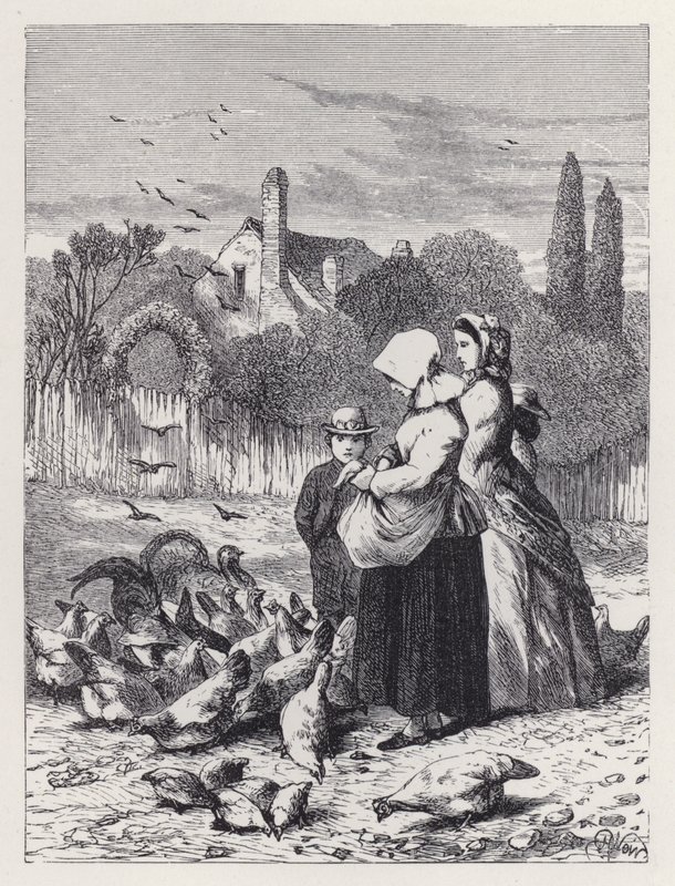 Baromfiudvar (metszet) alkotó: Harrison William Weir