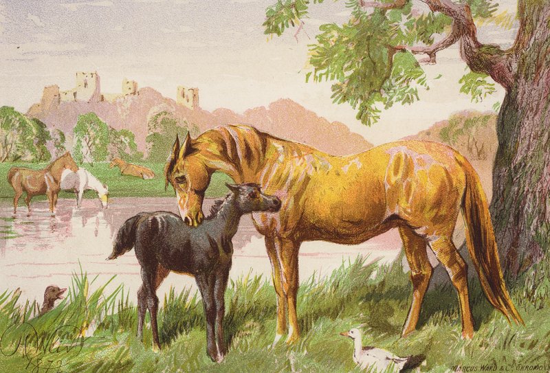 A romos kastély (színes litográfia) alkotó: Harrison William Weir