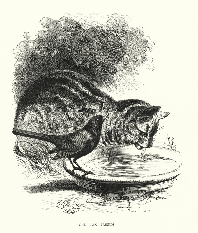 A két barát (metszet) alkotó: Harrison William Weir