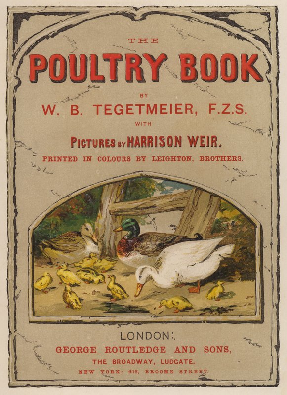 Címoldal-illusztráció: W B Tegetmeier (chromolitho) A baromfikönyvhöz alkotó: Harrison William Weir