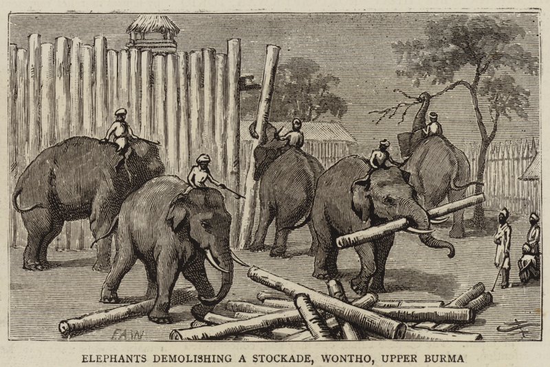 Elefántok lerombolnak egy Stockade-ot, Wontho, Felső-Burma alkotó: Harry Hamilton Johnston