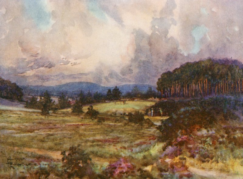 Golfpályák: zöld és a tizenkettedik tee (színes lithó) alkotó: Harry (1878 1950) Rountree