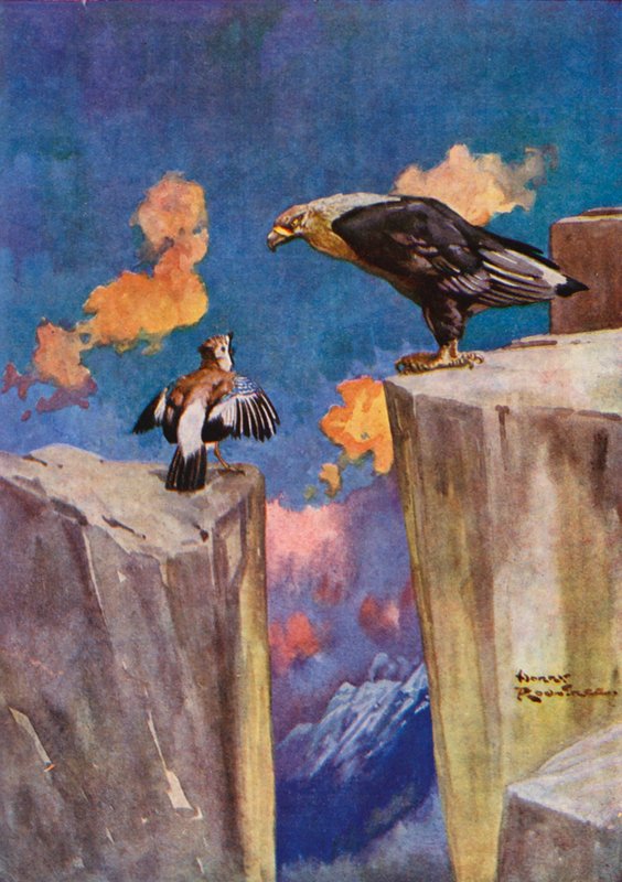 A Jay és a Nightingale (színes litó) alkotó: Harry Rountree