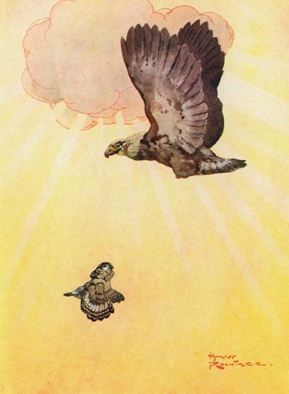 A bagoly és a sas lánya (színes litó) alkotó: Harry Rountree