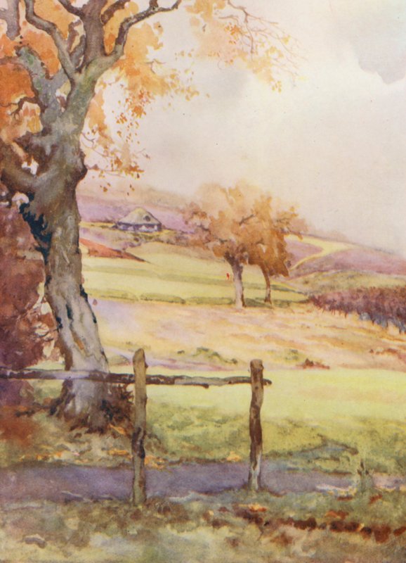 Golfpályák: Broadstone, a negyedik lyuk (színes litográfia) alkotó: Harry (1878 1950) Rountree