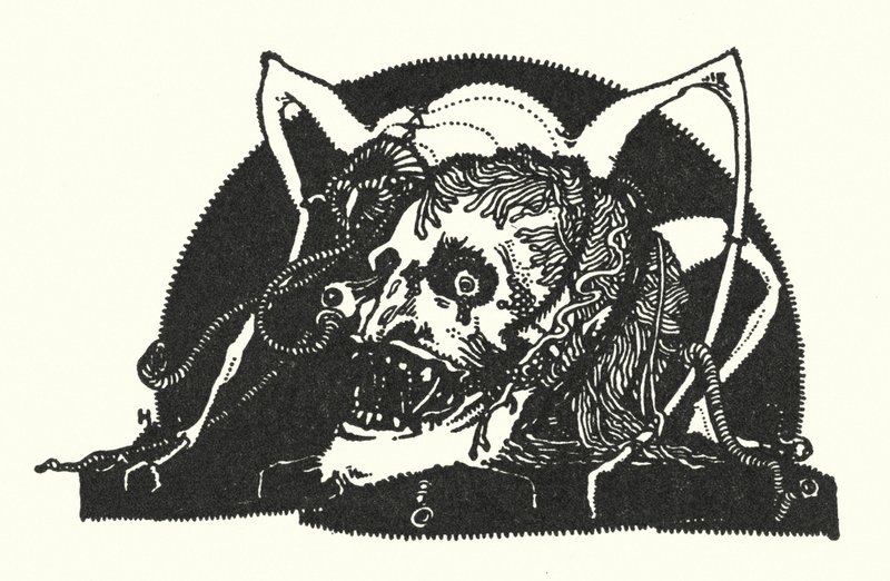 Edgar Allan Poe: Tervezési motívum (litográfia) alkotó: Harry Clarke