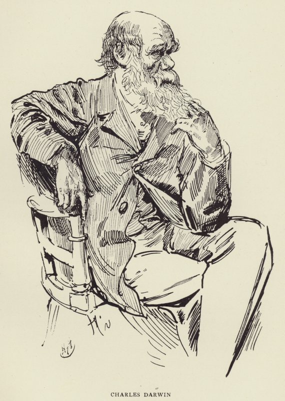 Charles Darwin alkotó: Harry Furniss