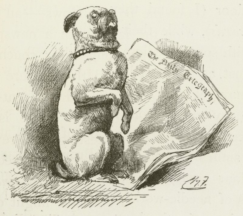 Illusztráció Sylvie és Bruno számára, Lewis Carroll alkotó: Harry Furniss