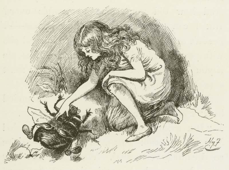 Illusztráció Sylvie és Bruno számára, Lewis Carroll alkotó: Harry Furniss