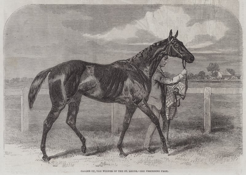 Caller Ou, a St Leger győztese alkotó: Harry Hall