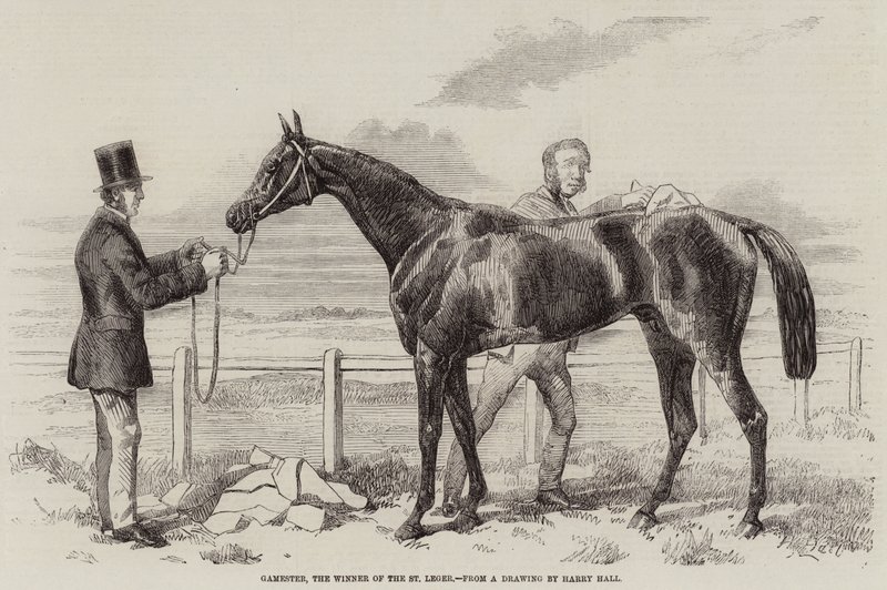 Gamemester, a St Leger győztese alkotó: Harry Hall