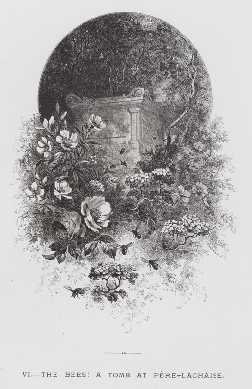 A rovar: A méhek, egy sír Pere-Lachaise-ban (metszet) alkotó: Hector Giacomelli