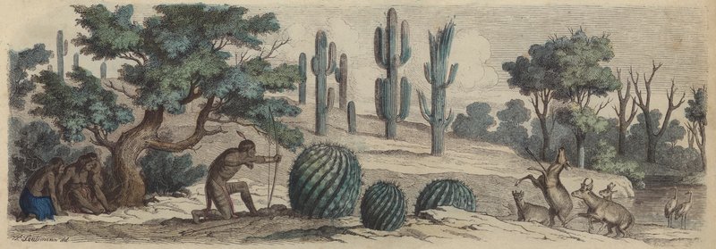Colorado (színes metszet) alkotó: Heinrich Leutemann