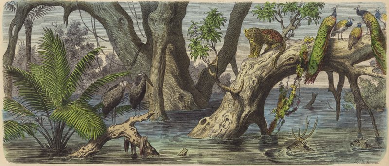 Árvíz Kelet-Indiában (színes metszet) alkotó: Heinrich Leutemann