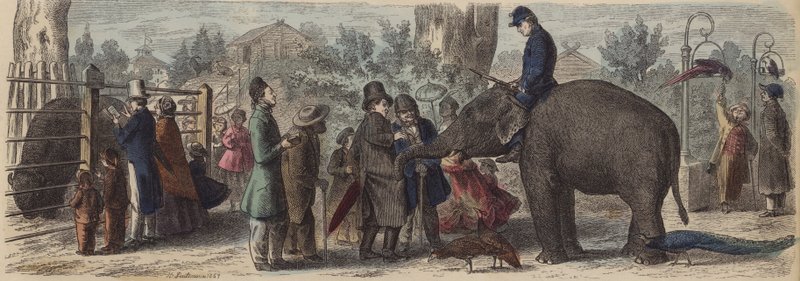 Egy németországi állatkertben (színes metszet) alkotó: Heinrich Leutemann
